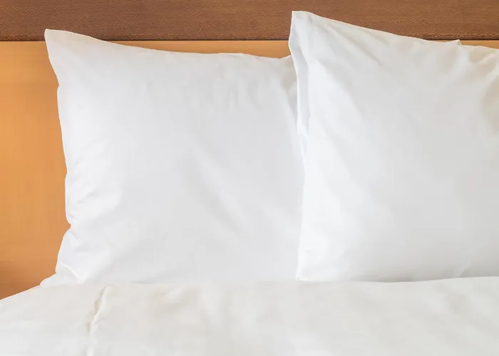 Holiday Inn Express - Springfield Downtown By Ihg